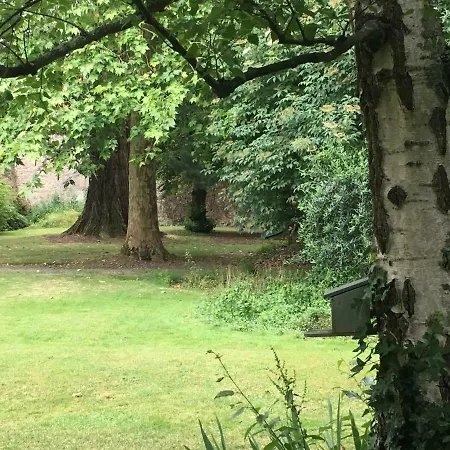 Au Rez De Jardin 3* Cholet