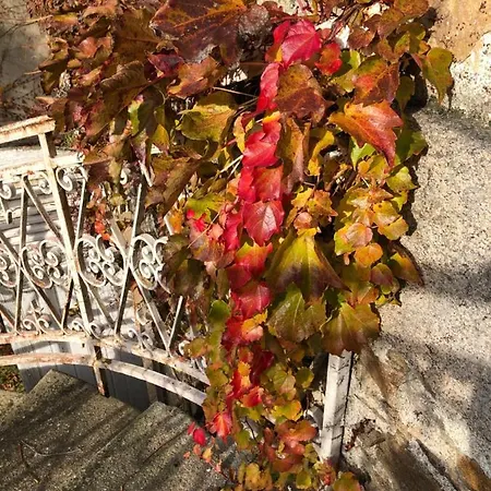 Vendégház Au Rez De Jardin