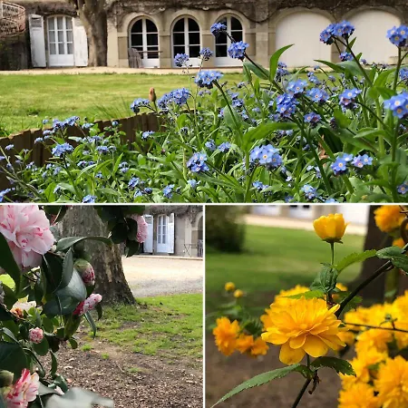 Au Rez De Jardin 3*