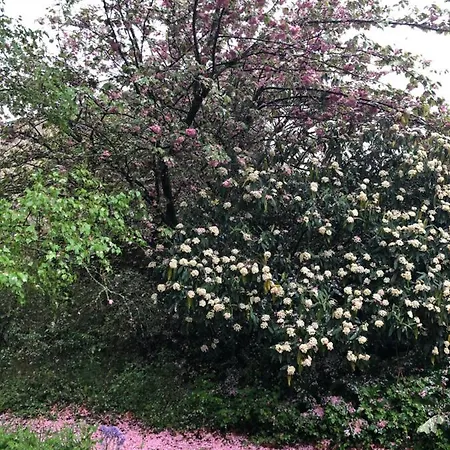 Au Rez De Jardin Cholet