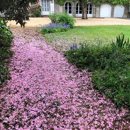 Au Rez De Jardin 3* Cholet