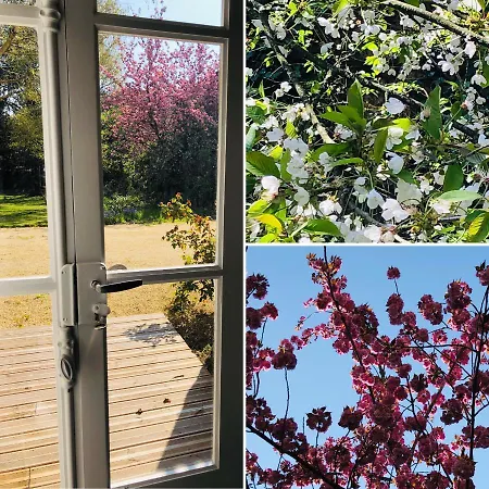Au Rez De Jardin 3*