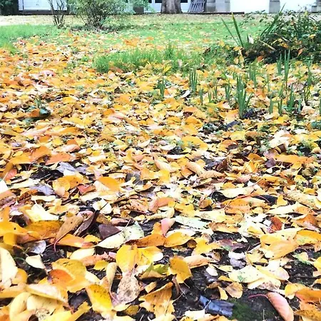 Au Rez De Jardin 3*