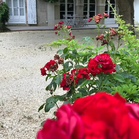Au Rez De Jardin Cholet
