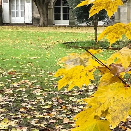 Au Rez De Jardin Cholet
