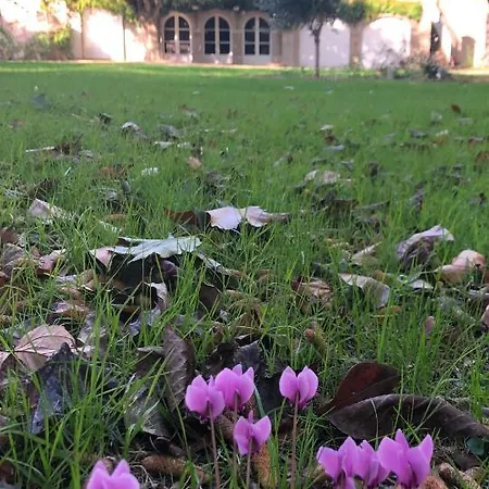 Au Rez De Jardin Konukevi